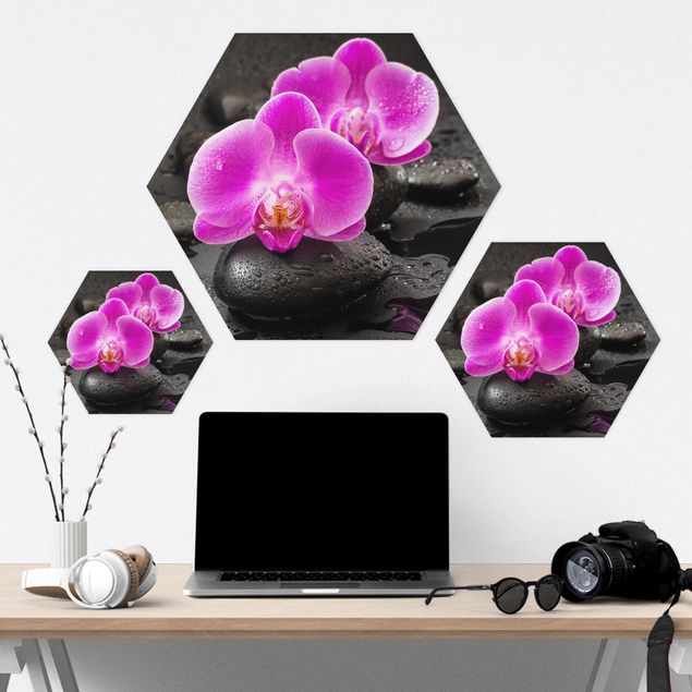Hexagon Picture Forex - Pink Orchid Flowers On Stones With Drops