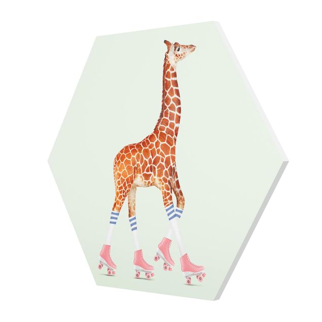 Forex hexagon - Giraffe With Roller Skates