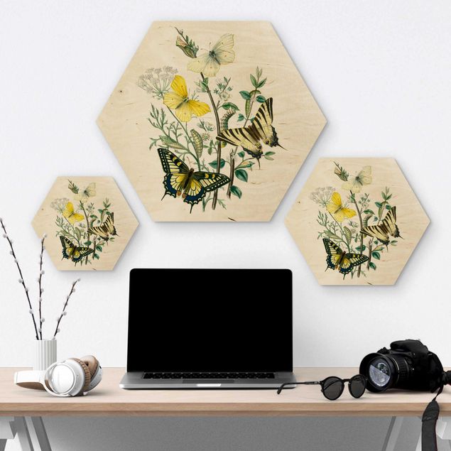 Wooden hexagon - British Butterflies III