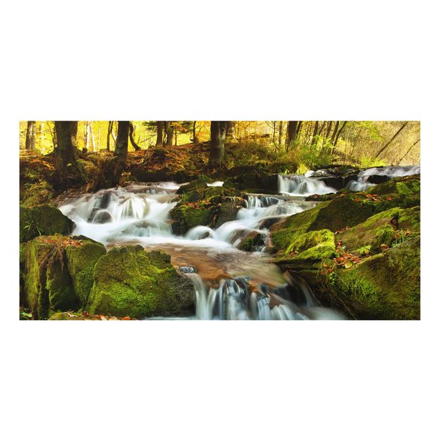 Splashback - Waterfall Autumnal Forest