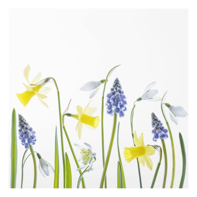 Glass Splashback - Spring Flowering - Square 1:1