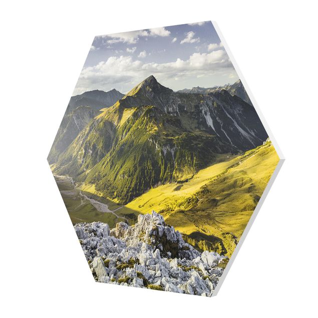 Forex hexagon - Mountains And Valley Of The Lechtal Alps In Tirol