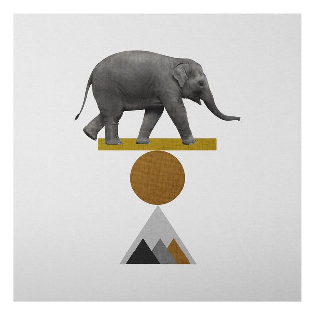 Print on aluminium - Art Of Balance Elephant