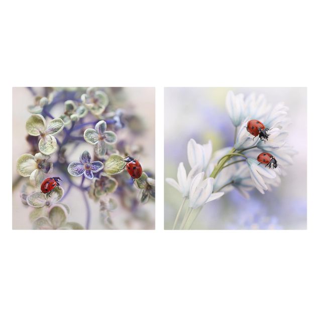 Print on canvas 2 parts - Ladybug On Flowers