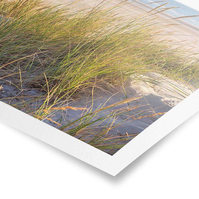 Poster - Beach Dune At The Sea