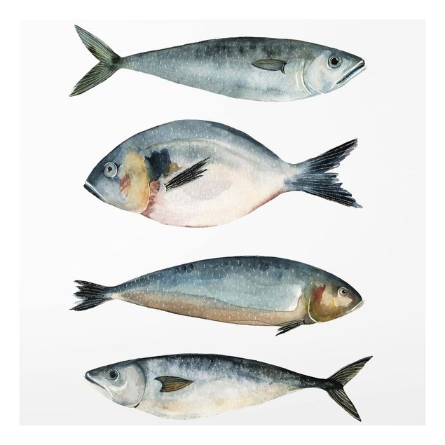Glass Splashback - Four Fish In Watercolor II - Square 1:1