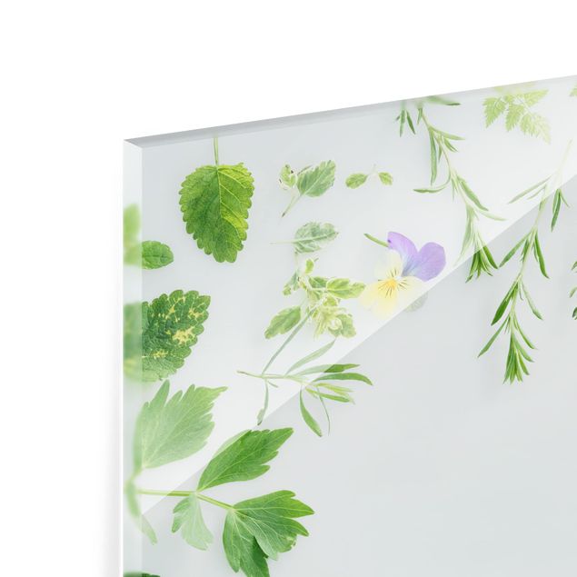 Glass Splashback - Herbs And Flowers - Square 1:1