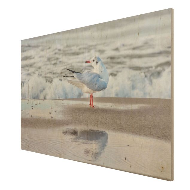 Print on wood - Seagull On The Beach In Front Of The Sea