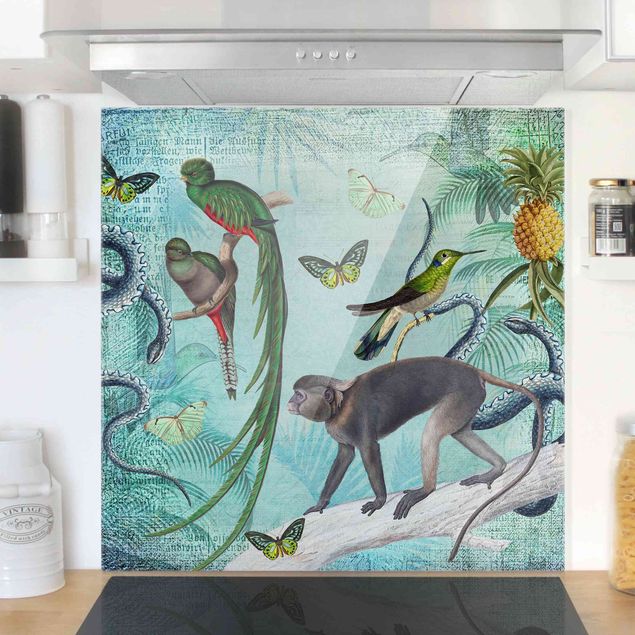 Glass splashback flower Colonial Style Collage - Monkeys And Birds Of Paradise