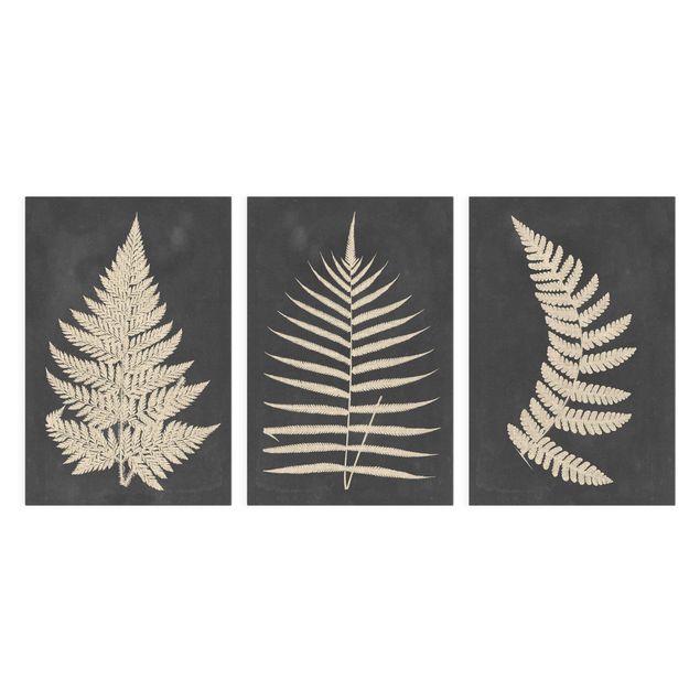 Print on canvas - Fern With Linen Texture Set I