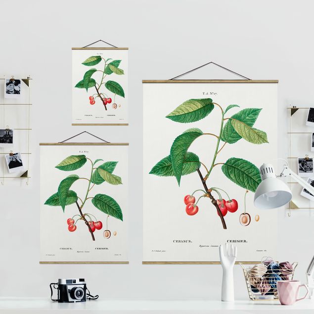 Fabric print with poster hangers - Botany Vintage Illustration Red Cherries