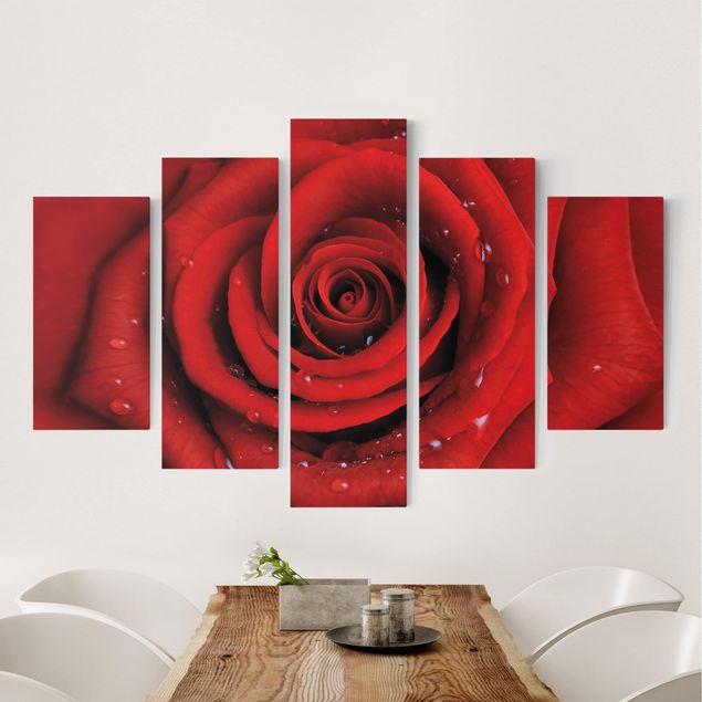 Print on canvas 5 parts - Red Rose With Water Drops