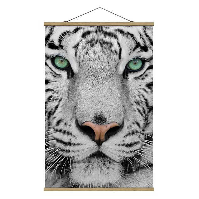 Fabric print with poster hangers - White Tiger