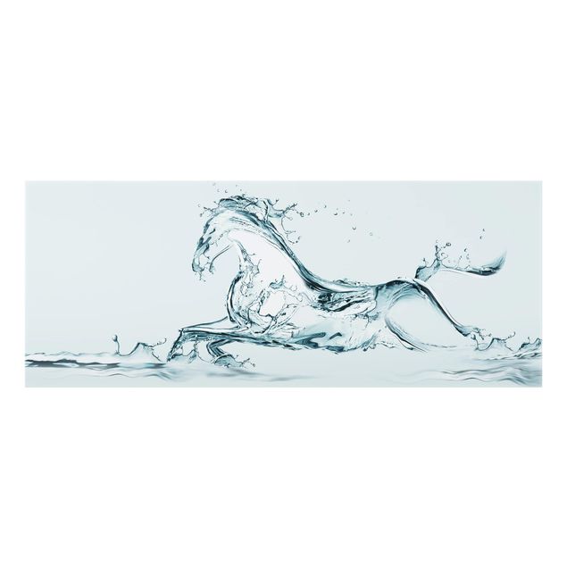 Splashback - Glass Horse