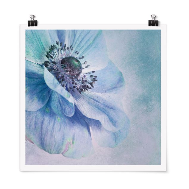 Poster - Flower In Turquoise