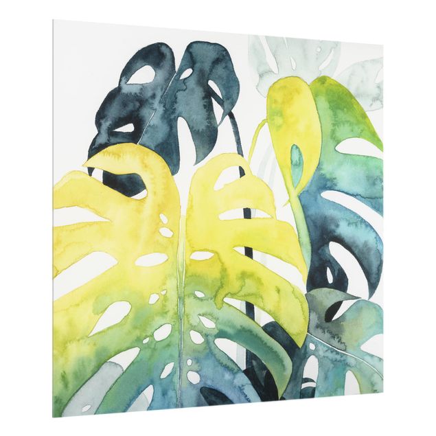 Glass Splashback - Tropical Foliage - Monstera - Square 1:1