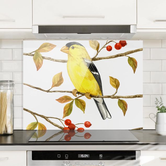 Glass splashback animals Birds And Berries - American Goldfinch