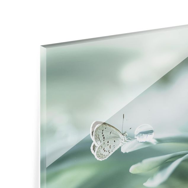 Glass Splashback - Butterfly And Dew Drops In Pastel Green - Landscape 3:4