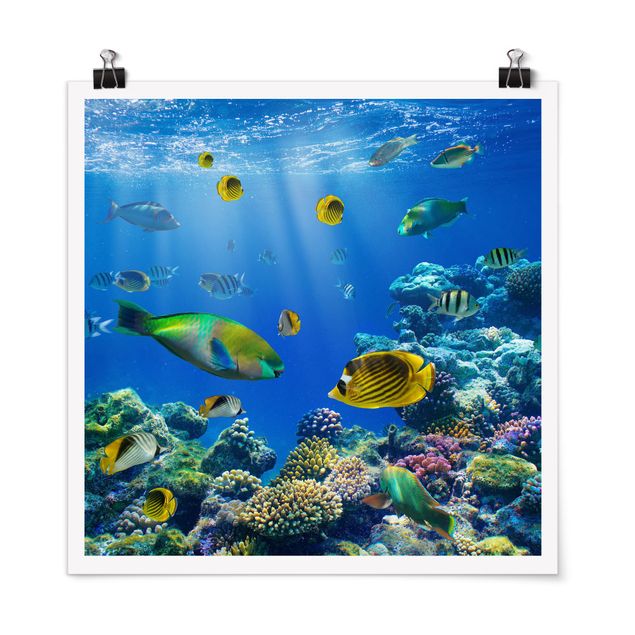 Poster - Underwater Lights