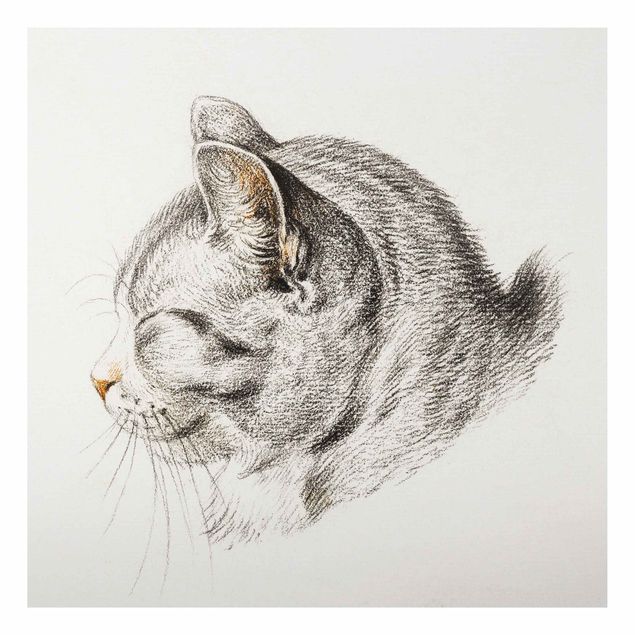 Print on aluminium - Vintage Drawing Cat III