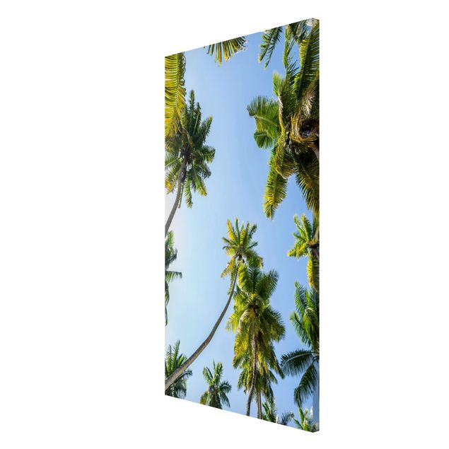 Magnetic memo board - Palm Tree Canopy