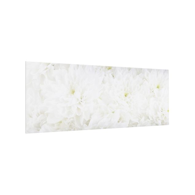 Glass splashback Dahlias Sea Of Flowers White