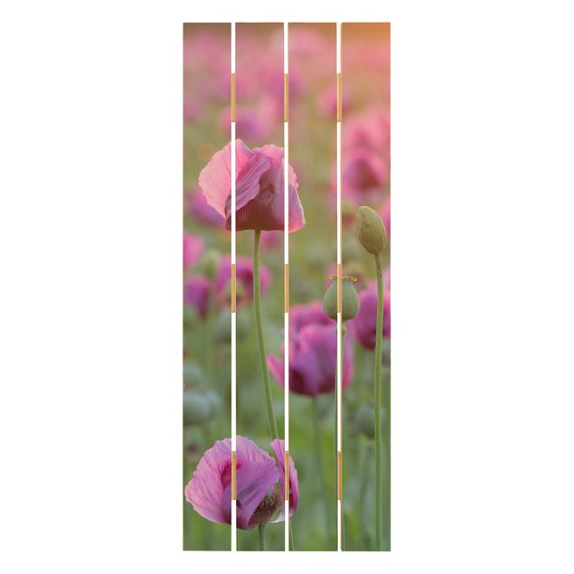 Print on wood - Purple Poppy Flower Meadow In Spring