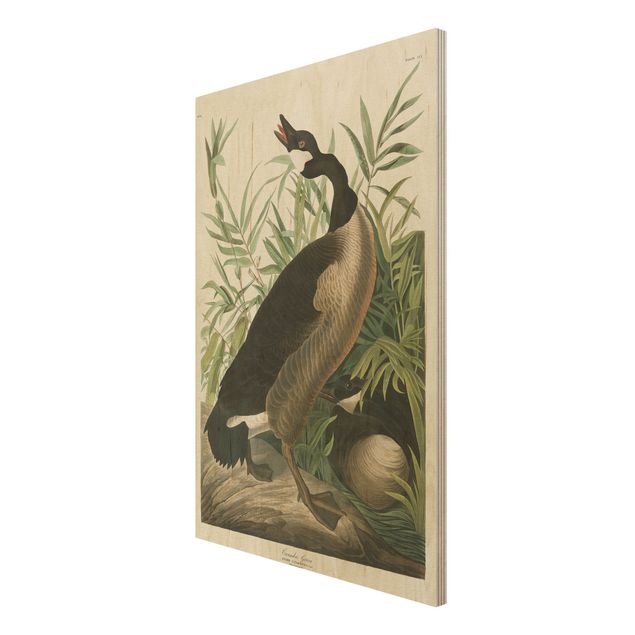 Print on wood - Vintage Board Canada Goose