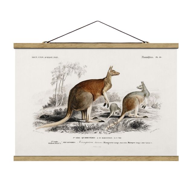 Fabric print with poster hangers - Vintage Board Kangaroo