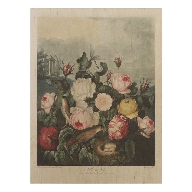 Print on wood - Botany Vintage Illustration Of Roses