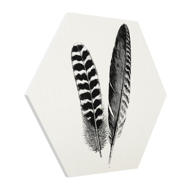 Forex hexagon - Two Feathers - Drawing