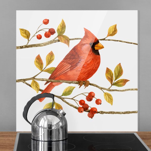 Glass splashback kitchen animals Birds And Berries - Northern Cardinal