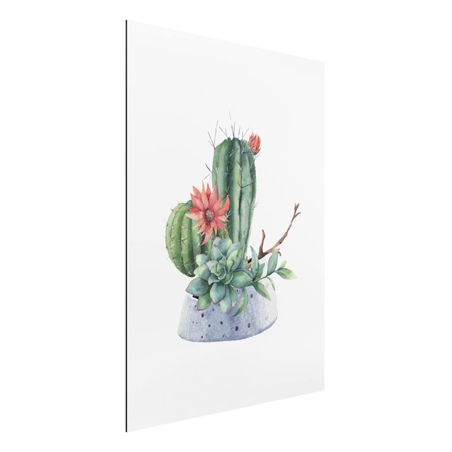 Alu dibond Watercolour Cacti Illustration