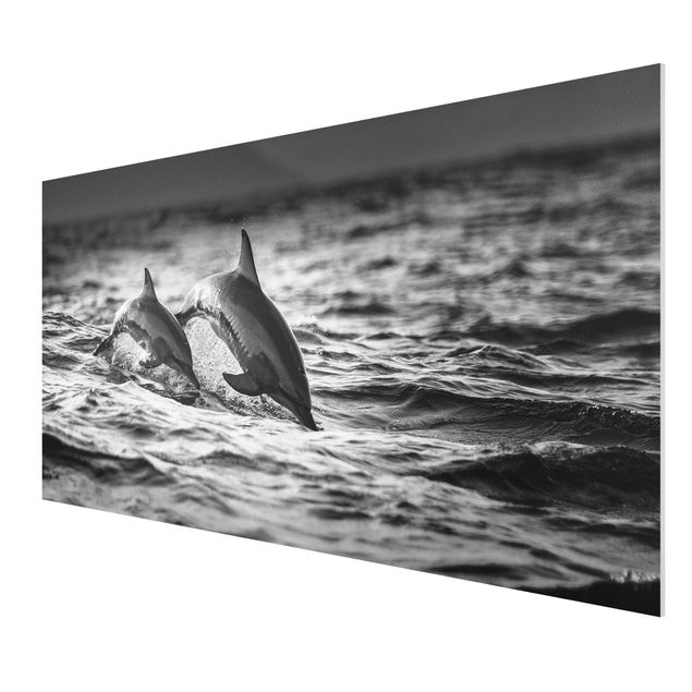 Forex print - Two Jumping Dolphins
