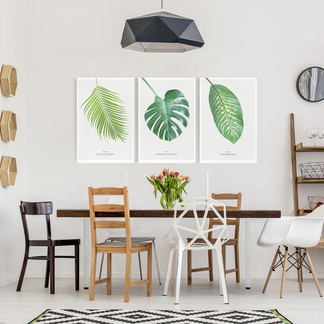 Print on canvas - Tropical Leaves