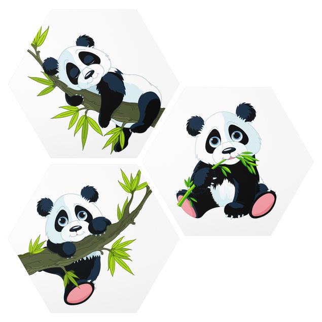 Alu-Dibond hexagon - Panda set