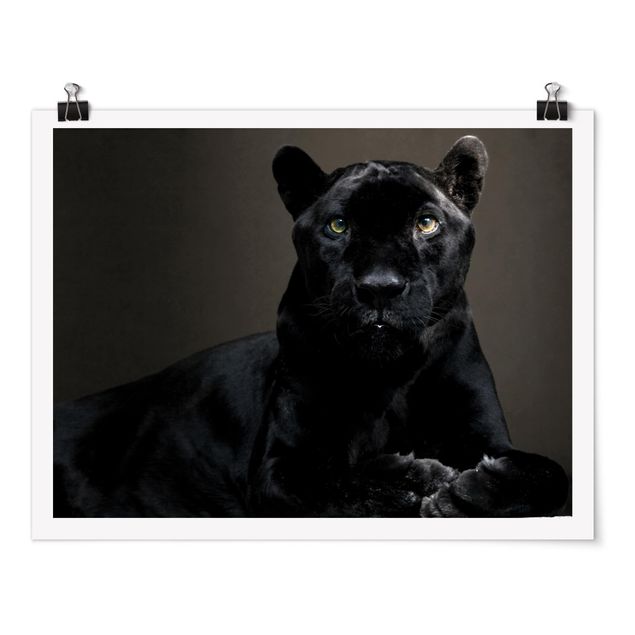 Poster - Black Puma