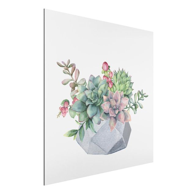 Aluminium dibond Watercolour Succulents Illustration