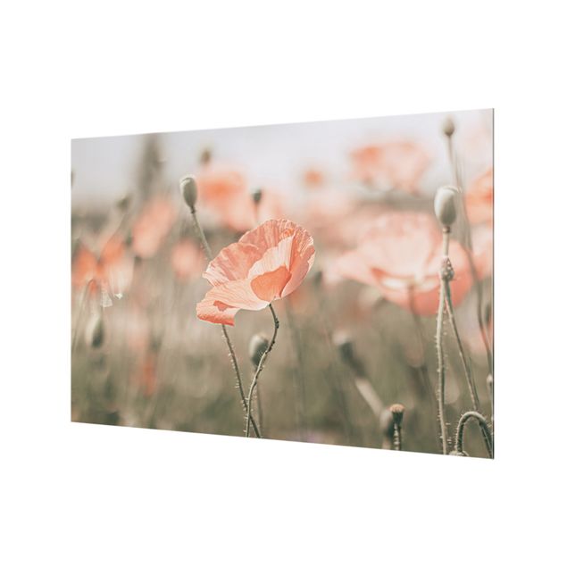 Splashback - Sun-Kissed Poppy Fields - Landscape format 3:2