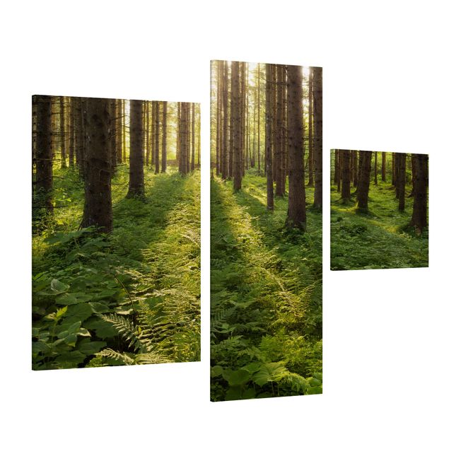 Print on canvas 3 parts - Sun Rays In Green Forest