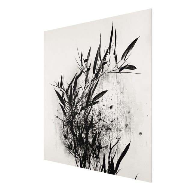 Print on forex - Graphical Plant World - Black Bamboo