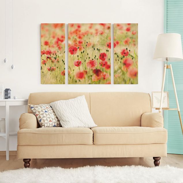 Print on canvas 3 parts - Summer Poppies