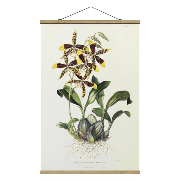 Fabric print with poster hangers - Maxim Gauci - Orchid II