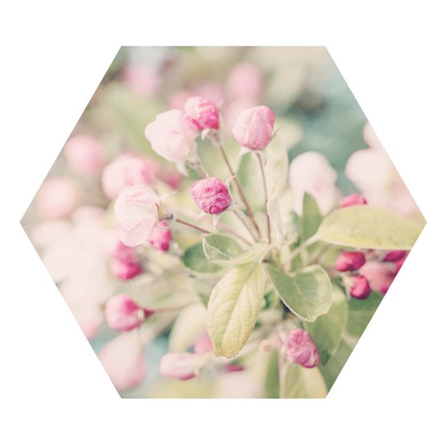 Hexagon Picture Forex - Apple Blossom Pink Bokeh