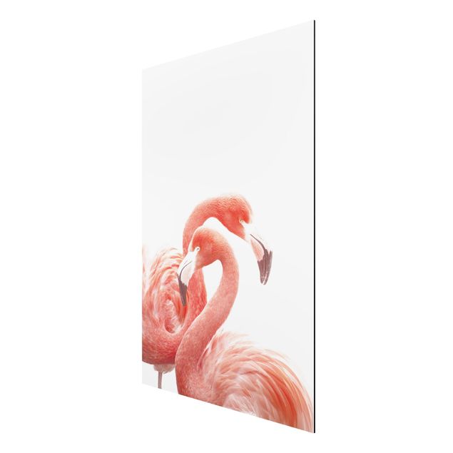 Print on aluminium - Two Flamingos
