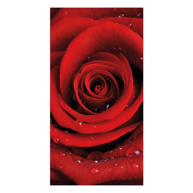 Shower wall cladding - Red Rose With Water Drops