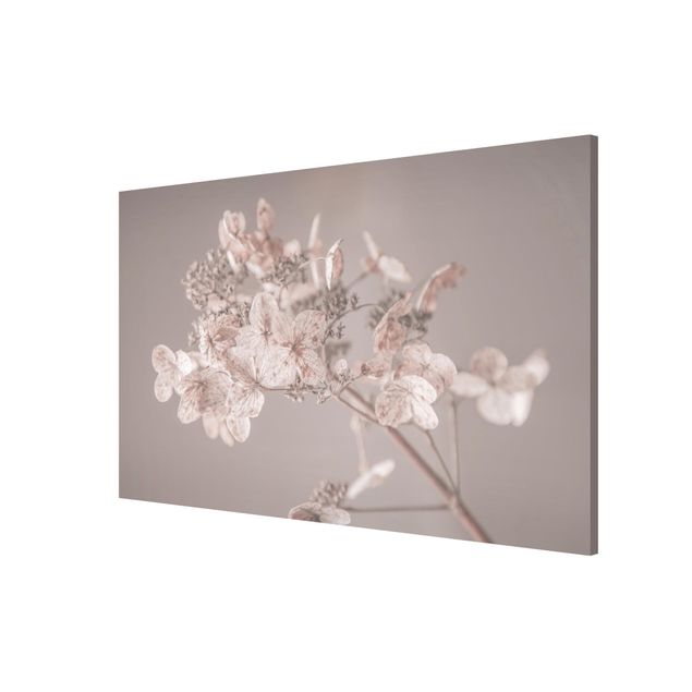 Magnetic memo board - Delicate White Hydrangea