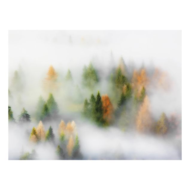 Glass Splashback - Cloud Forest In Autumn - Landscape 3:4