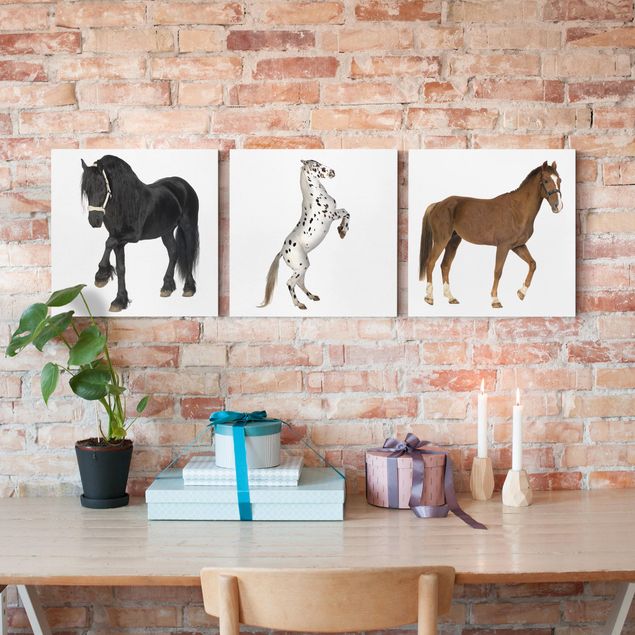 Print on canvas 3 parts - Three Horses Trio
