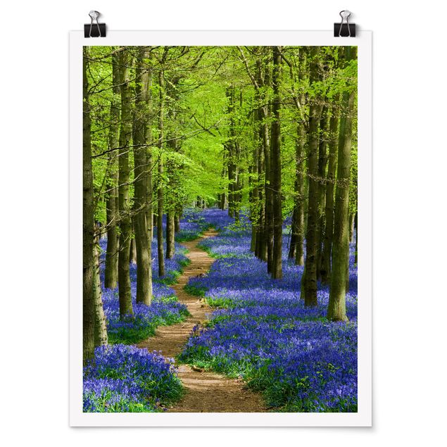 Poster forest - Trail in Hertfordshire